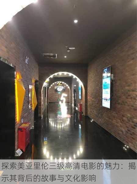 探索美亚里伦三级高清电影的魅力:揭示其背后的故事与文化影响