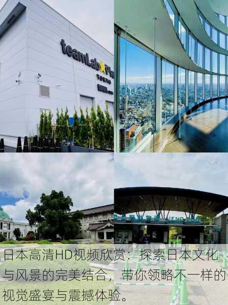 日本高清HD视频欣赏:探索日本文化与风景的完美结合,带你领略不一样的视觉盛宴与震撼体验。