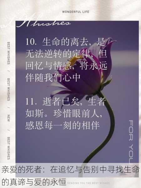 亲爱的死者:在追忆与告别中寻找生命的真谛与爱的永恒