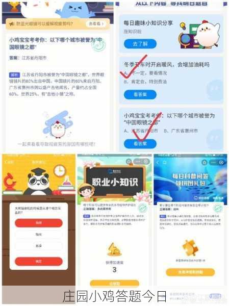 庄园小鸡答题今日