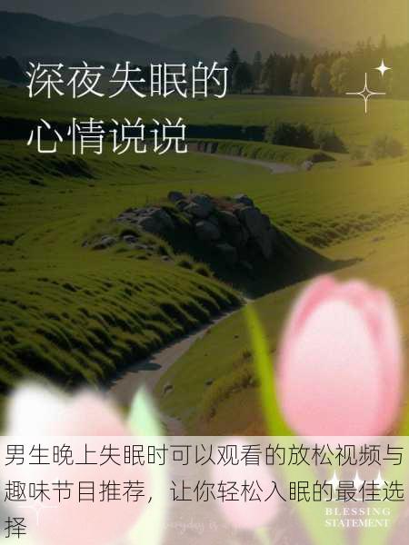 男生晚上失眠时可以观看的放松视频与趣味节目推荐,让你轻松入眠的最佳选择