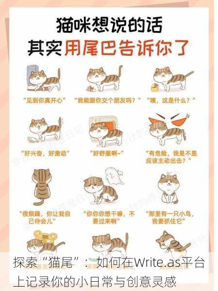 探索“猫尾”:如何在Write.as平台上记录你的小日常与创意灵感