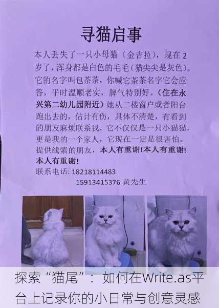 探索“猫尾”:如何在Write.as平台上记录你的小日常与创意灵感