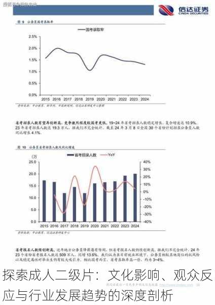 探索成人二级片：文化影响、观众反应与行业发展趋势的深度剖析