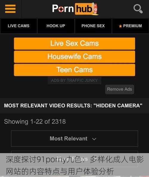深度探讨91porny九色:多样化成人电影网站的内容特点与用户体验分析