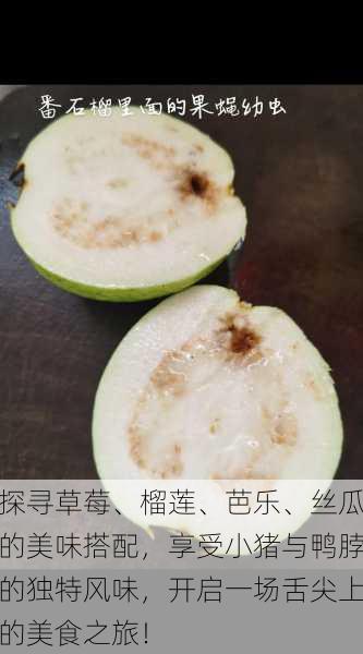 探寻草莓、榴莲、芭乐、丝瓜的美味搭配，享受小猪与鸭脖的独特风味，开启一场舌尖上的美食之旅！