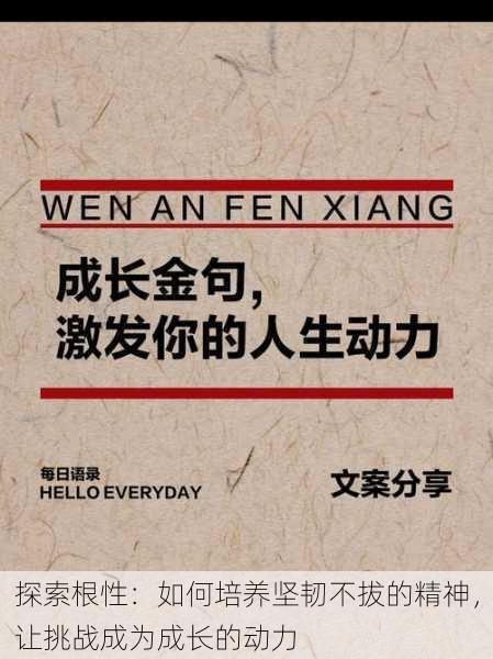 探索根性:如何培养坚韧不拔的精神,让挑战成为成长的动力