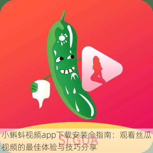 小蝌蚪视频app下载安装全指南:观看丝瓜视频的最佳体验与技巧分享