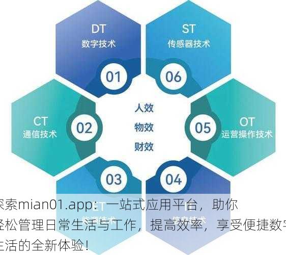 探索mian01.app:一站式应用平台,助你轻松管理日常生活与工作,提高效率,享受便捷数字生活的全新体验!