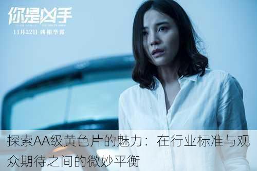 探索AA级黄色片的魅力:在行业标准与观众期待之间的微妙平衡