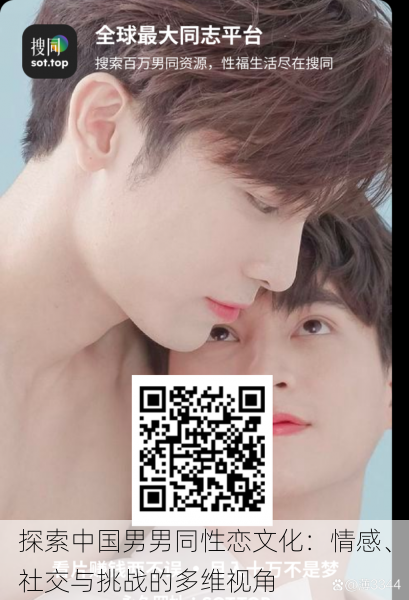 探索中国男男同性恋文化:情感、社交与挑战的多维视角