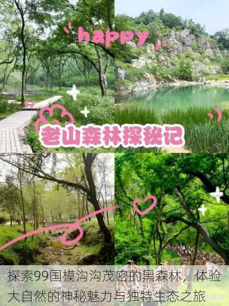 探索99国模沟沟茂密的黑森林,体验大自然的神秘魅力与独特生态之旅
