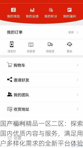 国产福利精品一区二区:探索国内优质内容与服务,满足用户多样化需求的全新平台体验