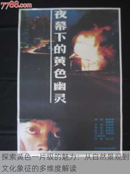 探索黄色一片级的魅力:从自然景观到文化象征的多维度解读