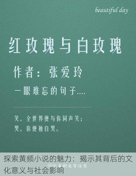 探索黄频小说的魅力:揭示其背后的文化意义与社会影响
