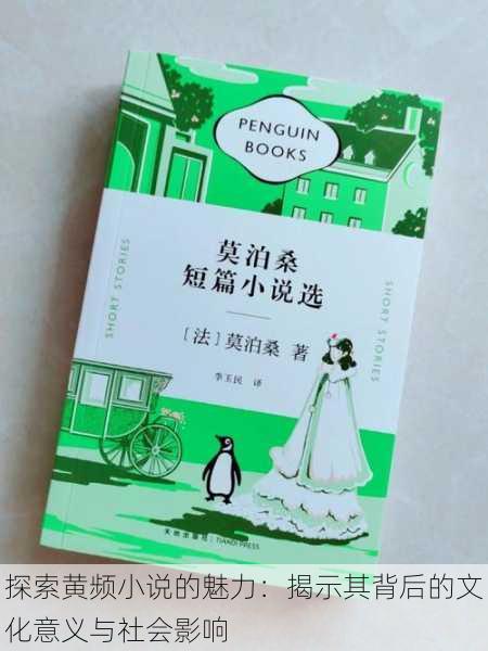 探索黄频小说的魅力:揭示其背后的文化意义与社会影响