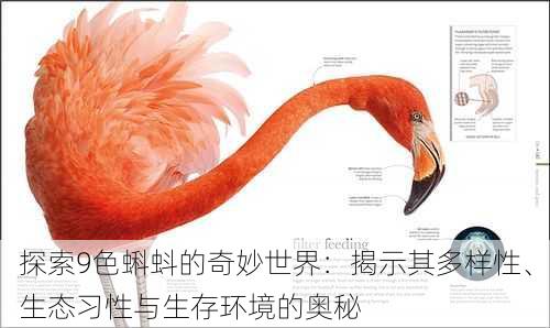 探索9色蝌蚪的奇妙世界:揭示其多样性、生态习性与生存环境的奥秘
