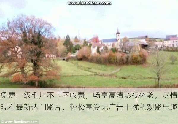 免费一级毛片不卡不收费,畅享高清影视体验,尽情观看最新热门影片,轻松享受无广告干扰的观影乐趣!