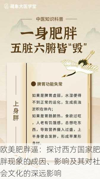 欧美肥胖逼:探讨西方国家肥胖现象的成因、影响及其对社会文化的深远影响
