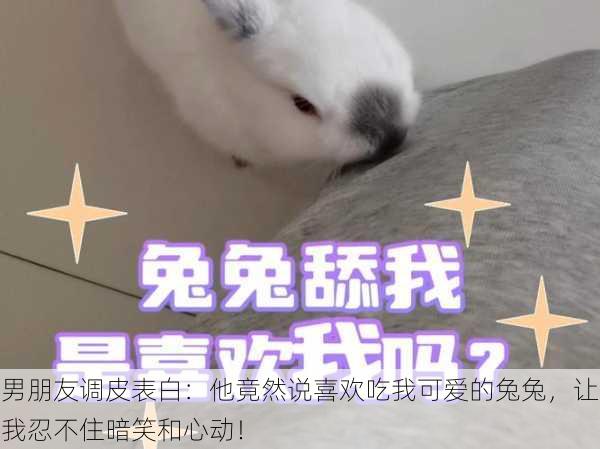 男朋友调皮表白:他竟然说喜欢吃我可爱的兔兔,让我忍不住暗笑和心动!