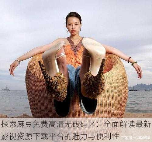 探索麻豆免费高清无砖码区:全面解读最新影视资源下载平台的魅力与便利性