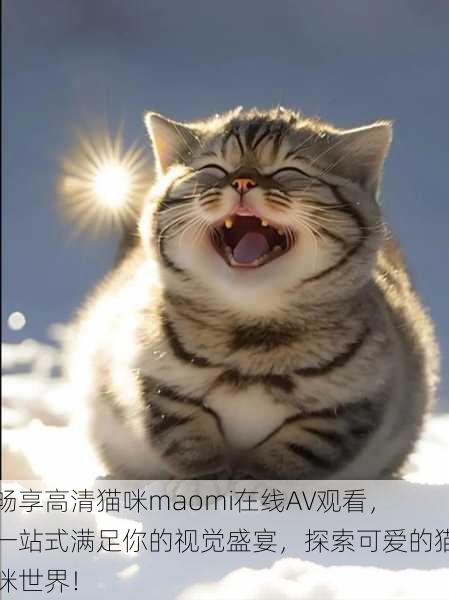 畅享高清猫咪maomi在线AV观看,一站式满足你的视觉盛宴,探索可爱的猫咪世界!
