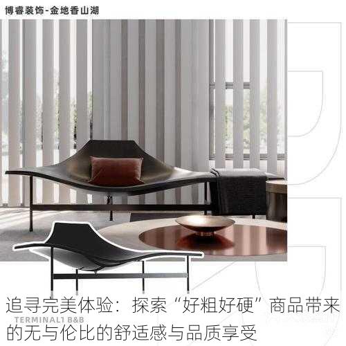 追寻完美体验:探索“好粗好硬”商品带来的无与伦比的舒适感与品质享受