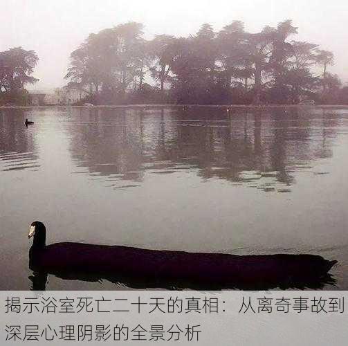 揭示浴室死亡二十天的真相:从离奇事故到深层心理阴影的全景分析