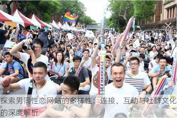 探索男同性恋网站的多样性:连接、互动与社群文化的深度解析