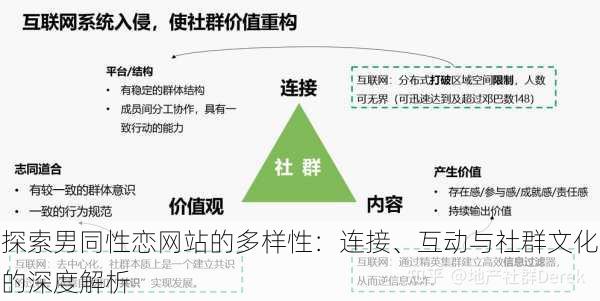 探索男同性恋网站的多样性:连接、互动与社群文化的深度解析