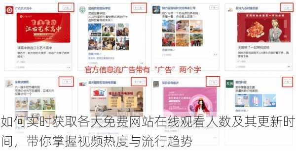 如何实时获取各大免费网站在线观看人数及其更新时间,带你掌握视频热度与流行趋势