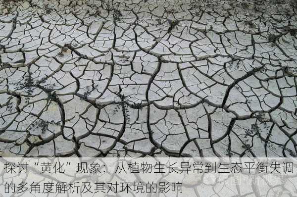 探讨“黄化”现象:从植物生长异常到生态平衡失调的多角度解析及其对环境的影响