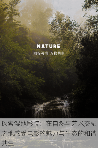 探索湿地影院:在自然与艺术交融之地感受电影的魅力与生态的和谐共生
