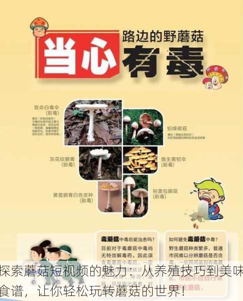 探索蘑菇短视频的魅力:从养殖技巧到美味食谱,让你轻松玩转蘑菇的世界!