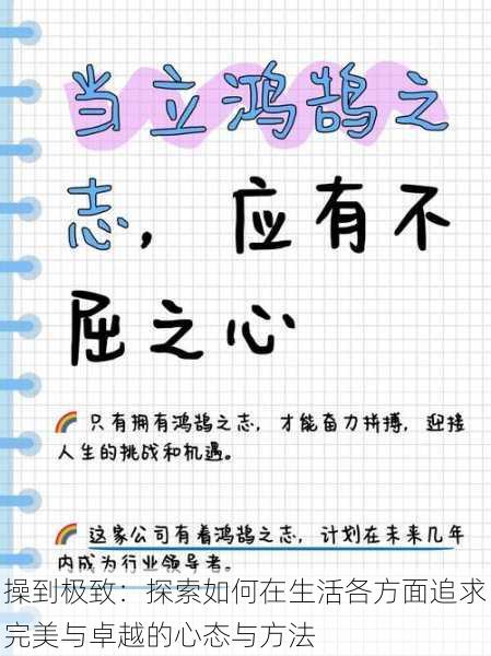 操到极致:探索如何在生活各方面追求完美与卓越的心态与方法