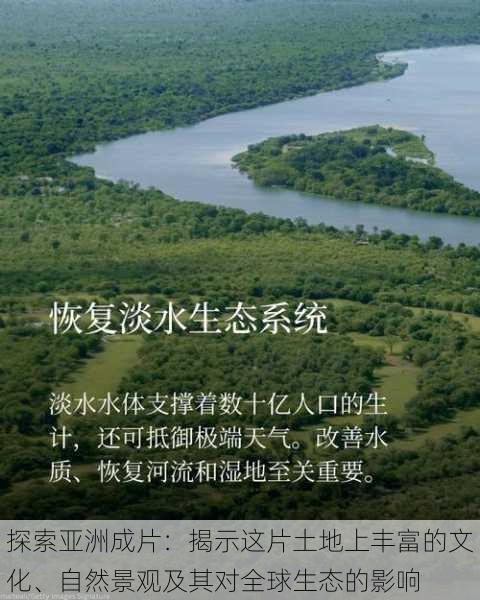 探索亚洲成片:揭示这片土地上丰富的文化、自然景观及其对全球生态的影响