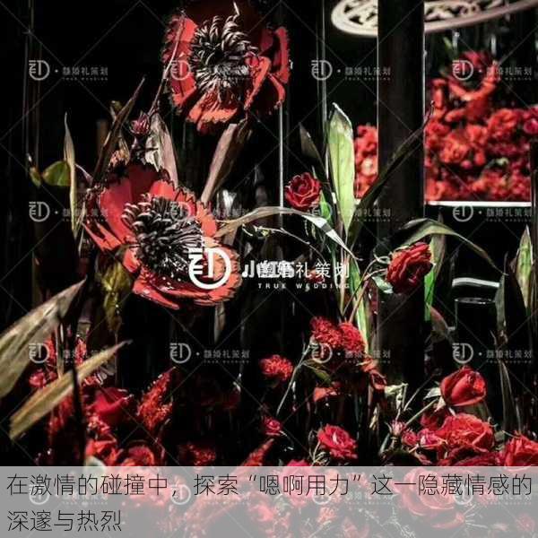 在激情的碰撞中,探索“嗯啊用力”这一隐藏情感的深邃与热烈