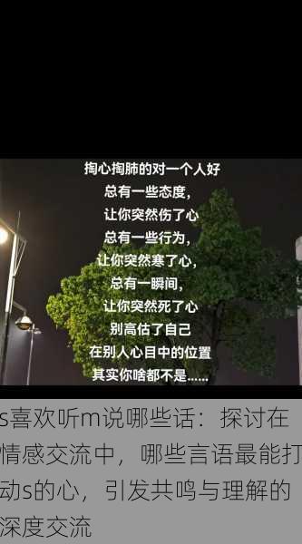 s喜欢听m说哪些话:探讨在情感交流中,哪些言语最能打动s的心,引发共鸣与理解的深度交流