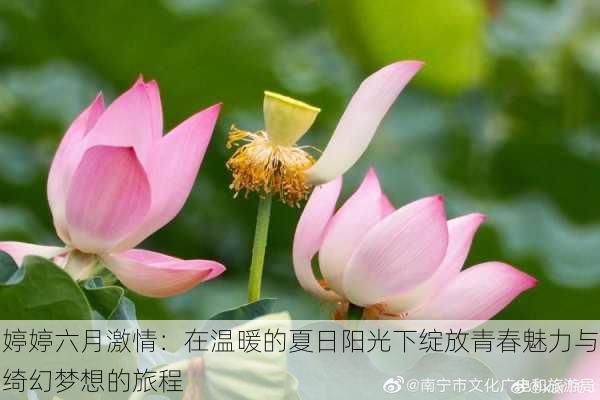 婷婷六月激情:在温暖的夏日阳光下绽放青春魅力与绮幻梦想的旅程