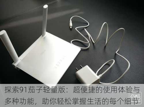 探索91茄子轻量版:超便捷的使用体验与多种功能,助你轻松掌握生活的每个细节