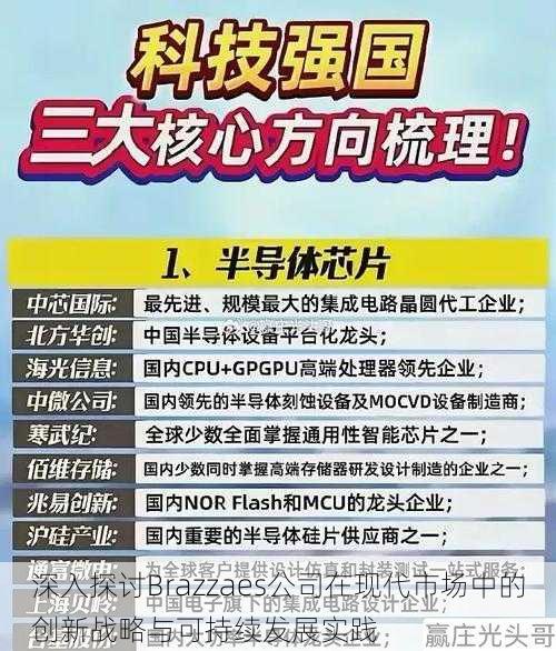 深入探讨Brazzaes公司在现代市场中的创新战略与可持续发展实践