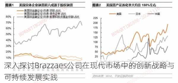 深入探讨Brazzaes公司在现代市场中的创新战略与可持续发展实践