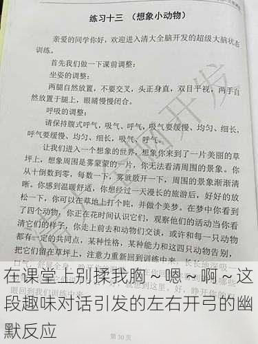 在课堂上别揉我胸～嗯～啊～这段趣味对话引发的左右开弓的幽默反应