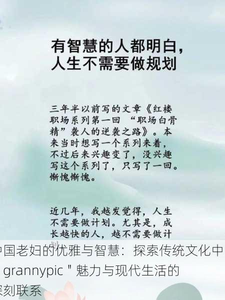 中国老妇的优雅与智慧:探索传统文化中的"grannypic"魅力与现代生活的深刻联系