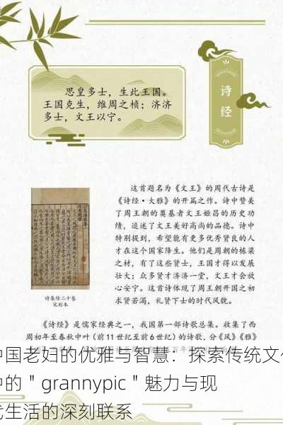 中国老妇的优雅与智慧:探索传统文化中的"grannypic"魅力与现代生活的深刻联系