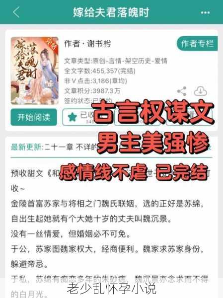 老少乱怀孕小说