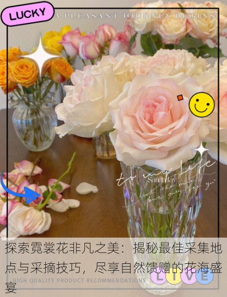 探索霓裳花非凡之美:揭秘最佳采集地点与采摘技巧,尽享自然馈赠的花海盛宴