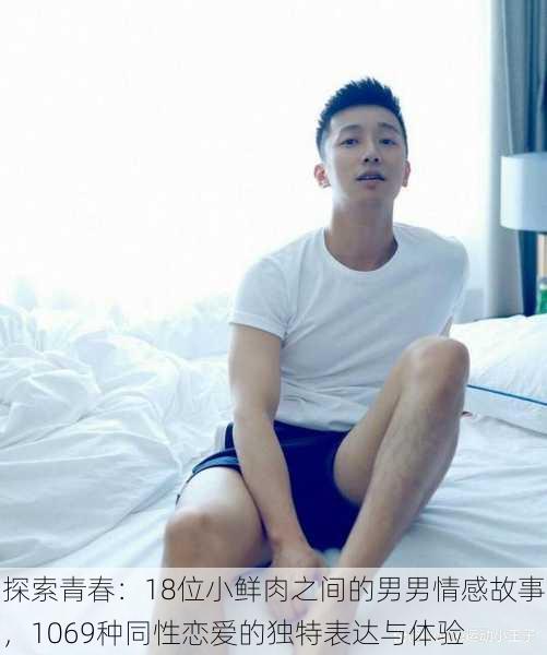 探索青春:18位小鲜肉之间的男男情感故事,1069种同性恋爱的独特表达与体验