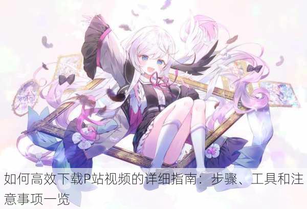 如何高效下载P站视频的详细指南:步骤、工具和注意事项一览