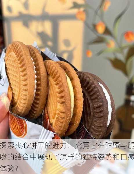 探索夹心饼干的魅力:究竟它在甜蜜与脆脆的结合中展现了怎样的独特姿势和口感体验?